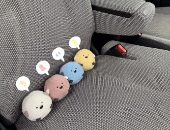 ふわっもちっかわいい♡♡♡ちまいる